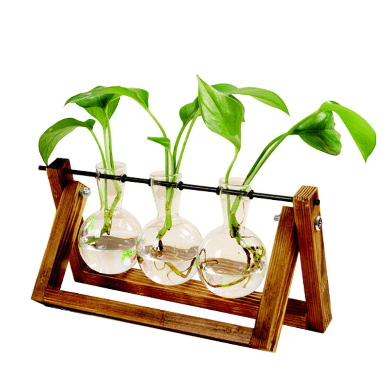 Swing Wooden Stand Hydroponic Plant Container Glass Vase